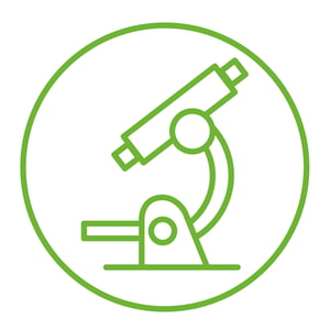 Forschen & Experimentieren
